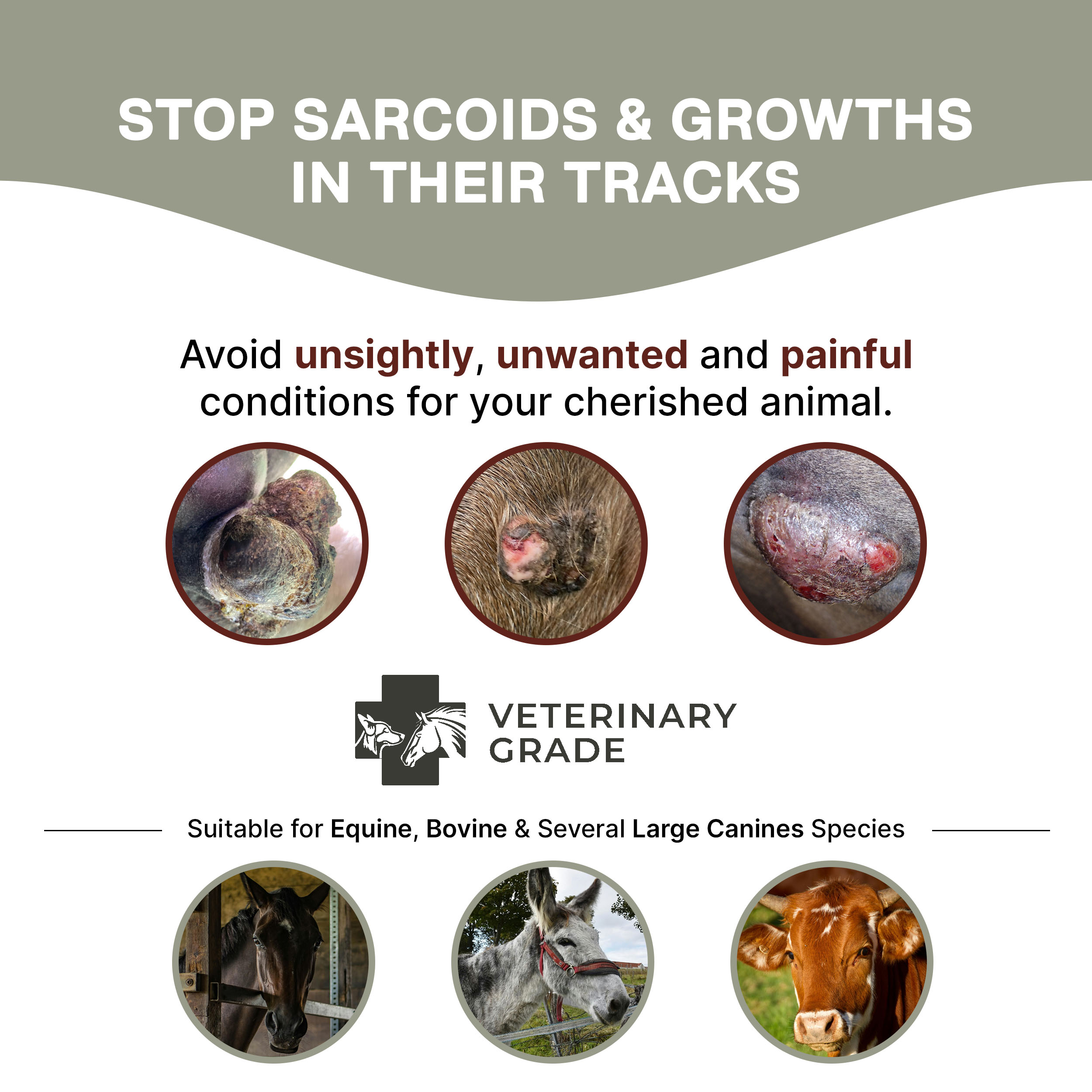 Sarcoid Bloodroot Paste (2oz)