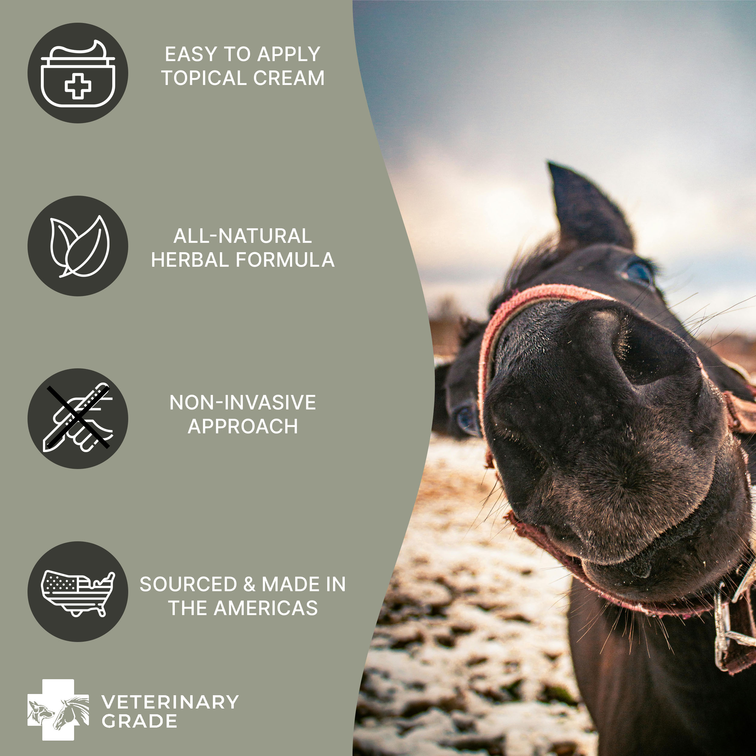 Sarcoid Bloodroot Paste (2oz)