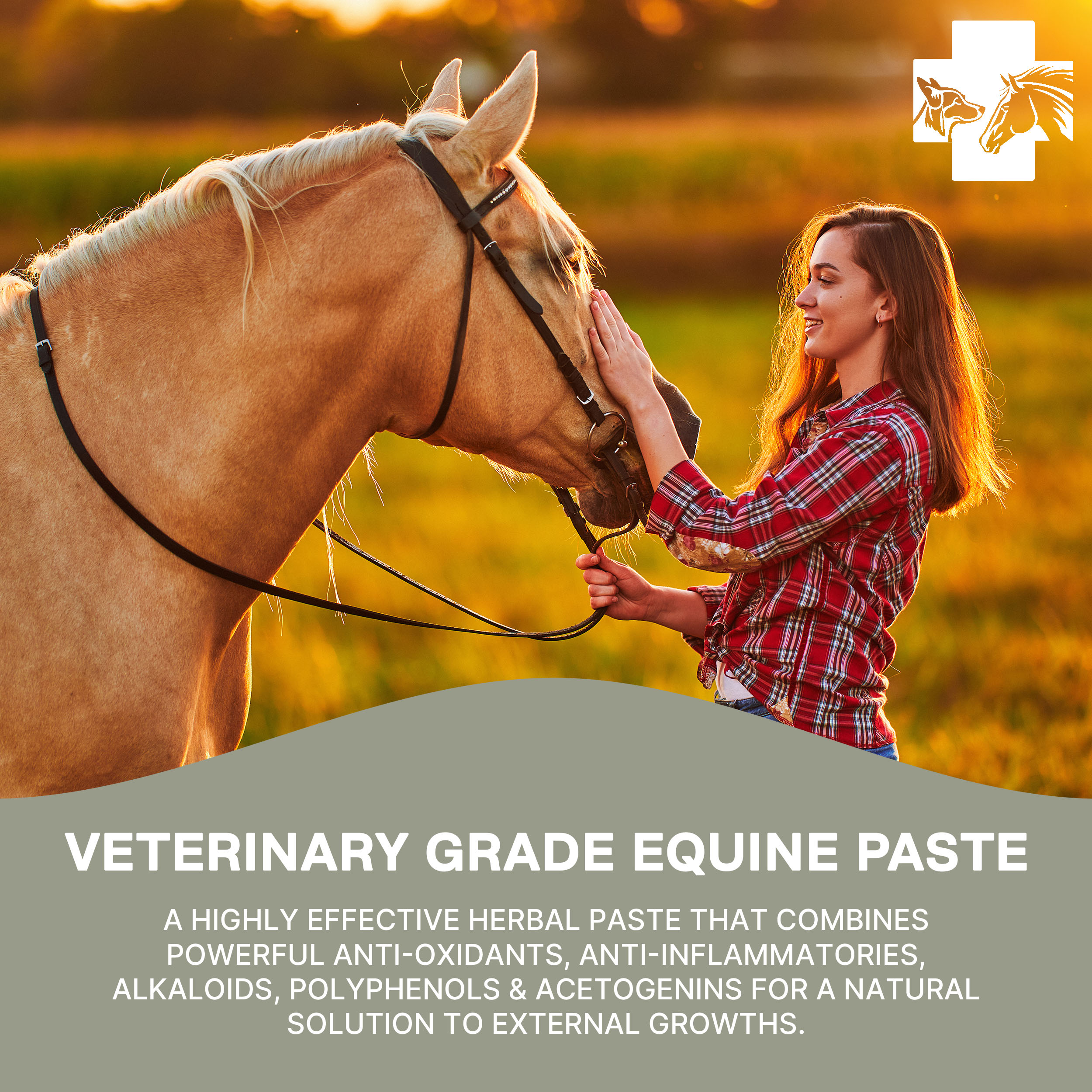 Sarcoid Bloodroot Paste (2oz)